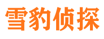 东城市调查公司